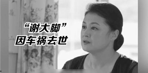 娱乐圈的吃瓜影帝 免费,揭秘“吃瓜影帝”背后的故事